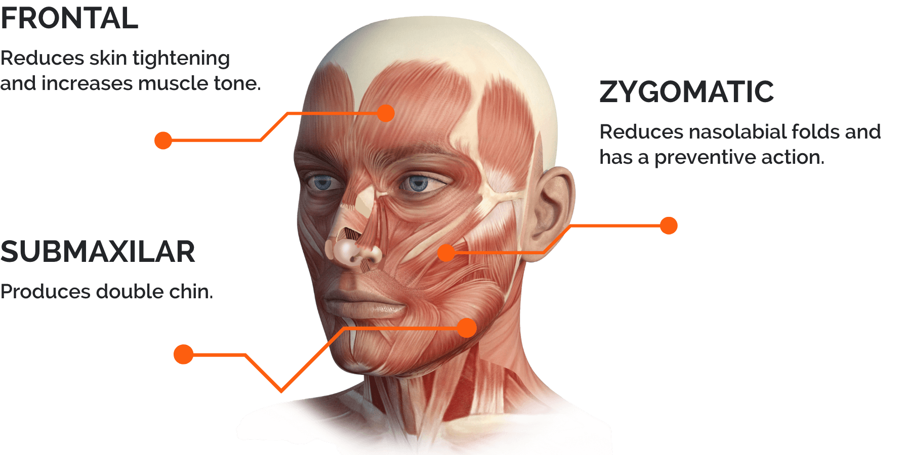 Rajeunissement et tonification du visage Wonder Face